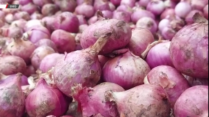 রোজার আগেই ভারত থেকে আসবে ৫০ হাজার মেট্রিক টন পেয়াজ