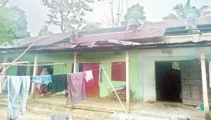 শিলাবৃষ্টিতে সবচেয়ে বেশি ক্ষতিগ্রস্ত গোলাপগঞ্জ উপজেলার বাসিন্দারা!