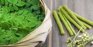 বিভিন্ন ধরনের রোগ সারাতে ‘সজনে’র যত উপকারিতা