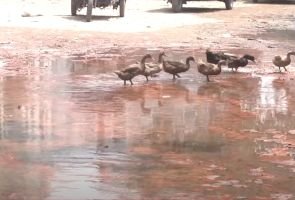 চট্টগ্রাম ওয়াসার অবহেলায় লাখো মানুষ পানির তীব্র সংকটে