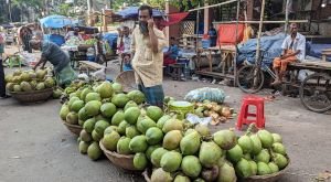 গরমের সাথে পাল্লা দিয়ে বাড়ছে ডাবের দামও!
