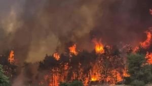 আবারও ইসরায়েলে আগুন, এবার আশদোদ শহরে